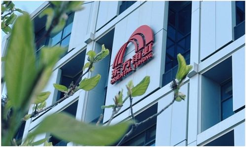 東方雨虹2023年財報解讀 營收利潤雙增，技術創(chuàng)新驅動高質量發(fā)展